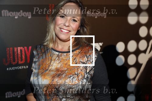 Amsterdam 13 november 2019
Premiere Judy in Tuschinski. Mayday host de avond. Selma v Dijk