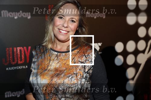 Amsterdam 13 november 2019
Premiere Judy in Tuschinski. Mayday host de avond. Selma v Dijk