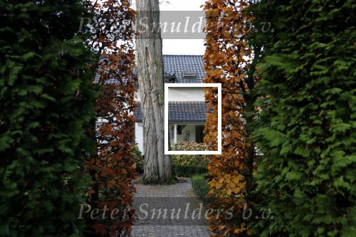 Blaricum 3 december 2019
Het huis van Simone Kleinsma
