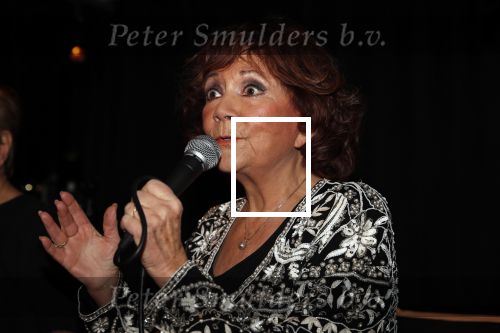 Amsterdam 21 november 2019
CD presentatie Therese Steinmetz in het Apollofirst hotel.
Therese zingt met Philippe Elan