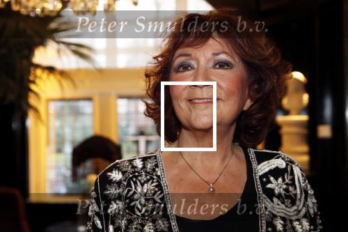 Amsterdam 21 november 2019
CD presentatie Therese Steinmetz in het Apollofirst hotel.
Therese zingt met Philippe Elan