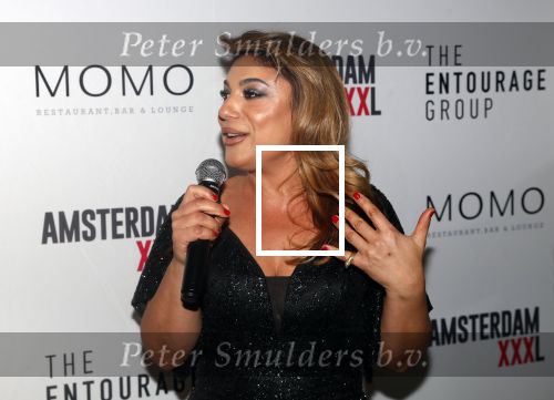 Amsterdam 3 december 2019
Presentatie Amsterdam XXXL in Momo. Yesim Candan geeft het eerste boek aan Olcay en Dulce Gulsen en Fernando Halman