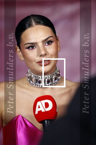 Amsterdam 12 november 2020
Famke Louise presenteert haar nieuwe cd bij Loogman in Amsterdam .