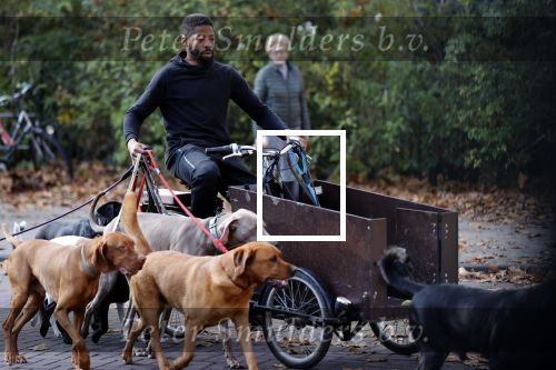 Amsterdam 10 november 2020
Honden uitlaatservice in Amsterdam zuid.