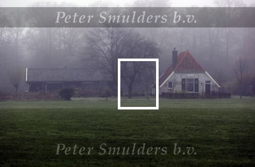 Eefde 27 november 2020
His van Matthijs v Nieuwkerk