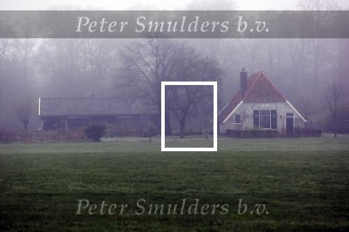 Eefde 27 november 2020
His van Matthijs v Nieuwkerk