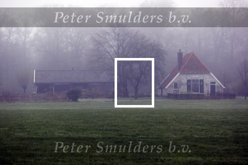 Eefde 27 november 2020
His van Matthijs v Nieuwkerk