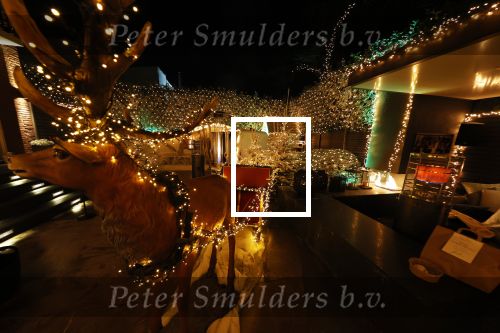 Amsterdam 15 december 2020
De tuin van Nicolette v Dam en Bas Smit is helemaal versierd in kerstsfeer.