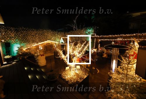 Amsterdam 15 december 2020
De tuin van Nicolette v Dam en Bas Smit is helemaal versierd in kerstsfeer.