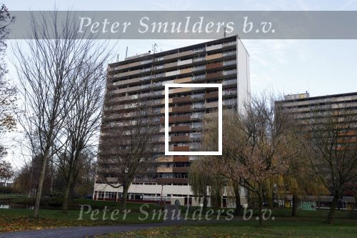 Amsterdam 26 november 2020
Appartement / huis van Patrick Roest