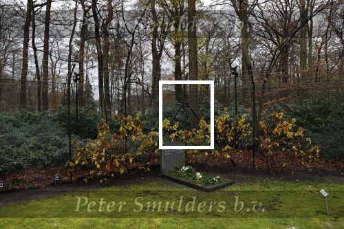 Lage Vuursche 3 december 2020
Het graf van Prins Friso op de begraafplaats in Lage Vuursche naatt kasteel Drakesteyn waar Prinses Beatrix woont
