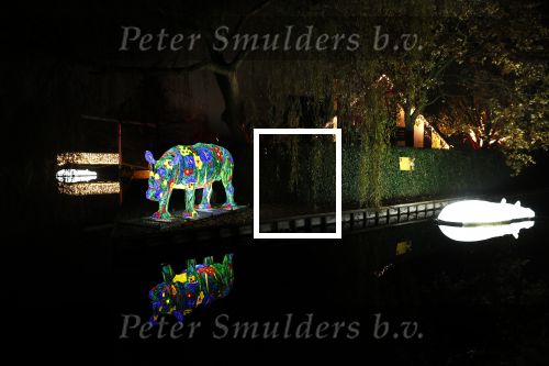 Vinkeveen 8 december 2020
Huis van Tino Martin helemaal verlicht met kerstverlichting