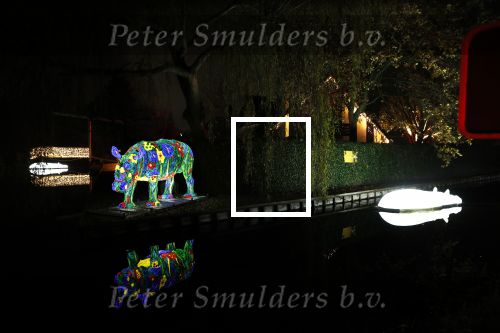 Vinkeveen 8 december 2020
Huis van Tino Martin helemaal verlicht met kerstverlichting