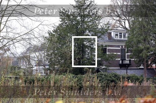 Abcoude 21 november 2020
Trijntje Oosterhuis en haar partner Alvin Lewis hebben een nieuw huis gekocht in Abcoude