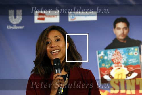 Amsterdam 17 november 2021
Presentatie sinterklaasboeken in de bibliotheek van Amsterdam . Airen Mylene presenteert het en de boeken zijn dit jaar geschreven door Waylon Carlo Boszhard en Marieke Elsinga