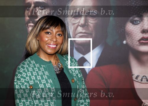 Amsterdam 23 november 2021
Premiere House of Gucci in pathe arena.
Amanda Rijf