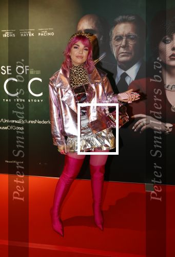 Amsterdam 23 november 2021
Premiere House of Gucci in pathe arena.
Amanda v Effrink