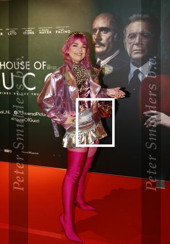 Amsterdam 23 november 2021
Premiere House of Gucci in pathe arena.
Amanda v Effrink