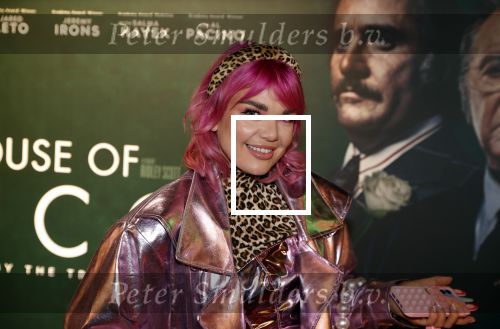 Amsterdam 23 november 2021
Premiere House of Gucci in pathe arena.
Amanda v Effrink