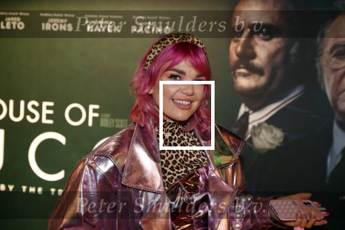 Amsterdam 23 november 2021
Premiere House of Gucci in pathe arena.
Amanda v Effrink
