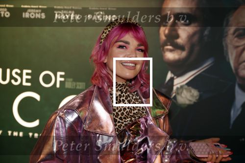 Amsterdam 23 november 2021
Premiere House of Gucci in pathe arena.
Amanda v Effrink