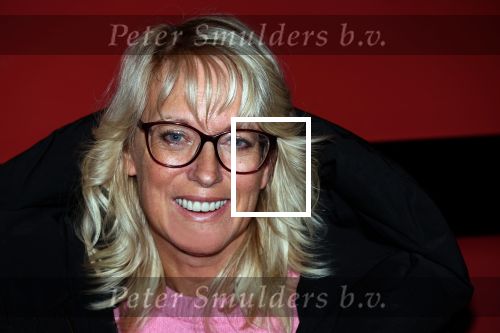 Amsterdam 30 november 2021
Presentatie cast Hij gelooft in mij met oa Martijn Fischer Roosmarijn Luyten Fabian Jansen Annick Boer en rachel Hazes . Anneke Janssen