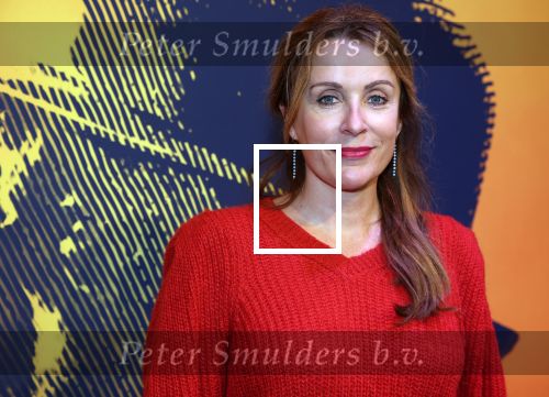 Amsterdam 30 november 2021
Presentatie cast Hij gelooft in mij met oa Martijn Fischer Roosmarijn Luyten Fabian Jansen Annick Boer en rachel Hazes .