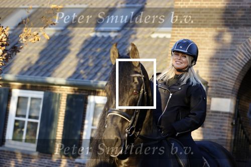 Lunteren 22 november 2021
Presentatie paarden calendar waarvan opbrengst naar het KWF gaat . Bridget Maasland en Samantha Steenwijk krijgen het eerste exemplaar . Ze kopen per paard aanrijden