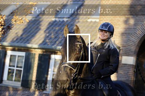 Lunteren 22 november 2021
Presentatie paarden calendar waarvan opbrengst naar het KWF gaat . Bridget Maasland en Samantha Steenwijk krijgen het eerste exemplaar . Ze kopen per paard aanrijden