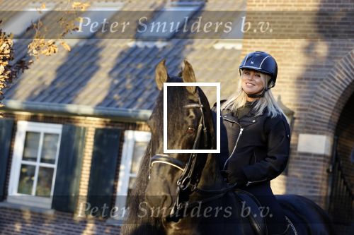 Lunteren 22 november 2021
Presentatie paarden calendar waarvan opbrengst naar het KWF gaat . Bridget Maasland en Samantha Steenwijk krijgen het eerste exemplaar . Ze kopen per paard aanrijden