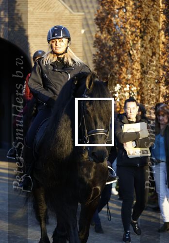Lunteren 22 november 2021
Presentatie paarden calendar waarvan opbrengst naar het KWF gaat . Bridget Maasland en Samantha Steenwijk krijgen het eerste exemplaar . Ze kopen per paard aanrijden