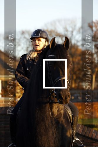 Lunteren 22 november 2021
Presentatie paarden calendar waarvan opbrengst naar het KWF gaat . Bridget Maasland en Samantha Steenwijk krijgen het eerste exemplaar . Ze kopen per paard aanrijden