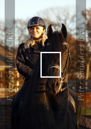 Lunteren 22 november 2021
Presentatie paarden calendar waarvan opbrengst naar het KWF gaat . Bridget Maasland en Samantha Steenwijk krijgen het eerste exemplaar . Ze kopen per paard aanrijden