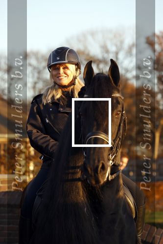 Lunteren 22 november 2021
Presentatie paarden calendar waarvan opbrengst naar het KWF gaat . Bridget Maasland en Samantha Steenwijk krijgen het eerste exemplaar . Ze kopen per paard aanrijden