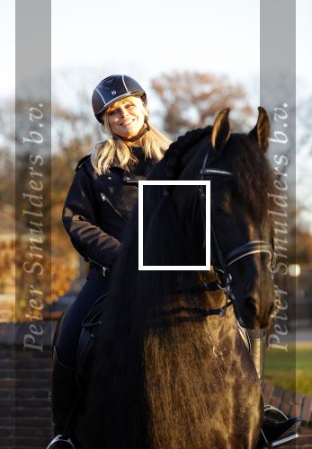 Lunteren 22 november 2021
Presentatie paarden calendar waarvan opbrengst naar het KWF gaat . Bridget Maasland en Samantha Steenwijk krijgen het eerste exemplaar . Ze kopen per paard aanrijden