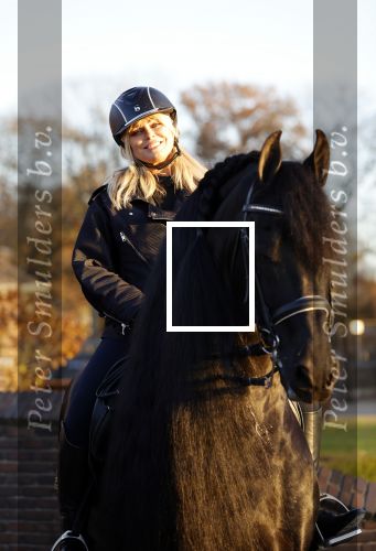 Lunteren 22 november 2021
Presentatie paarden calendar waarvan opbrengst naar het KWF gaat . Bridget Maasland en Samantha Steenwijk krijgen het eerste exemplaar . Ze kopen per paard aanrijden