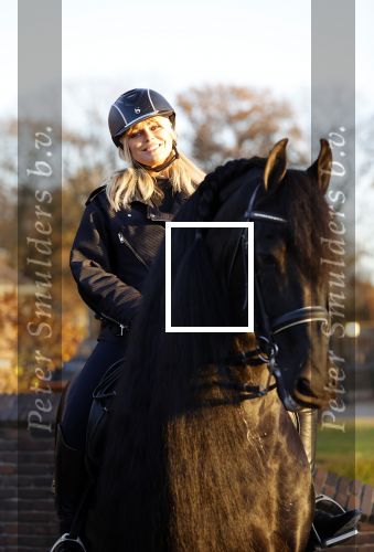 Lunteren 22 november 2021
Presentatie paarden calendar waarvan opbrengst naar het KWF gaat . Bridget Maasland en Samantha Steenwijk krijgen het eerste exemplaar . Ze kopen per paard aanrijden
