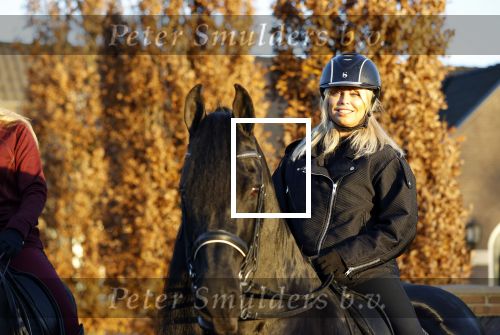 Lunteren 22 november 2021
Presentatie paarden calendar waarvan opbrengst naar het KWF gaat . Bridget Maasland en Samantha Steenwijk krijgen het eerste exemplaar . Ze kopen per paard aanrijden