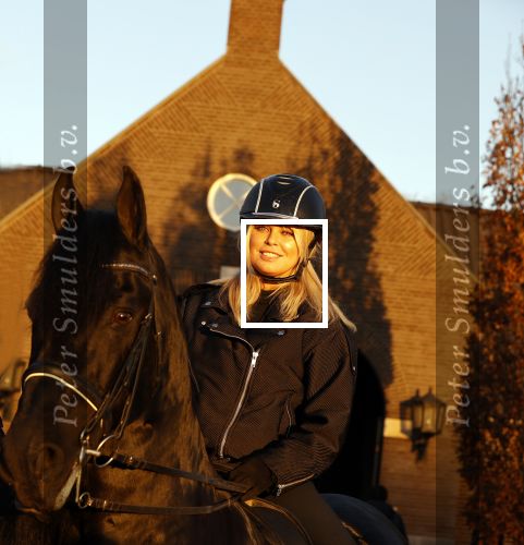 Lunteren 22 november 2021
Presentatie paarden calendar waarvan opbrengst naar het KWF gaat . Bridget Maasland en Samantha Steenwijk krijgen het eerste exemplaar . Ze kopen per paard aanrijden