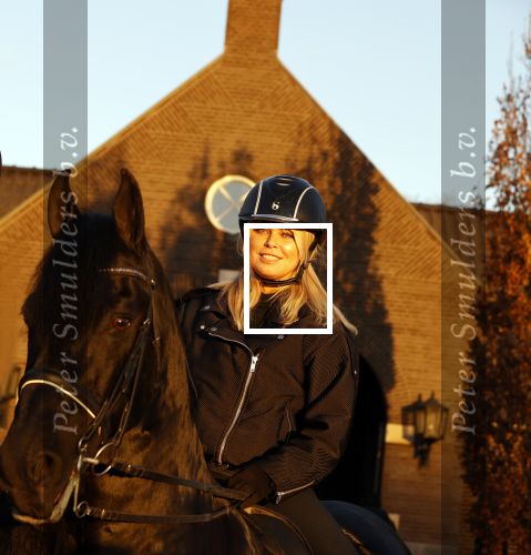 Lunteren 22 november 2021
Presentatie paarden calendar waarvan opbrengst naar het KWF gaat . Bridget Maasland en Samantha Steenwijk krijgen het eerste exemplaar . Ze kopen per paard aanrijden