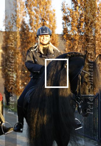 Lunteren 22 november 2021
Presentatie paarden calendar waarvan opbrengst naar het KWF gaat . Bridget Maasland en Samantha Steenwijk krijgen het eerste exemplaar . Ze kopen per paard aanrijden