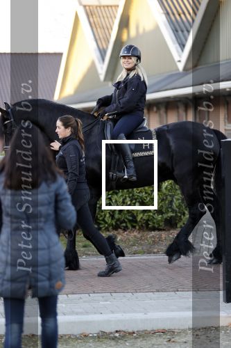 Lunteren 22 november 2021
Presentatie paarden calendar waarvan opbrengst naar het KWF gaat . Bridget Maasland en Samantha Steenwijk krijgen het eerste exemplaar . Ze kopen per paard aanrijden