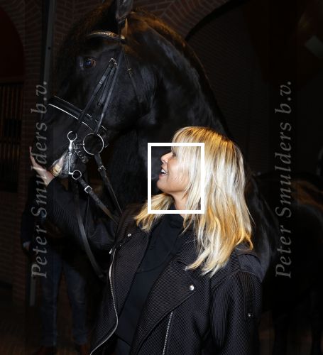 Lunteren 22 november 2021
Presentatie paarden calendar waarvan opbrengst naar het KWF gaat . Bridget Maasland en Samantha Steenwijk krijgen het eerste exemplaar . Ze kopen per paard aanrijden