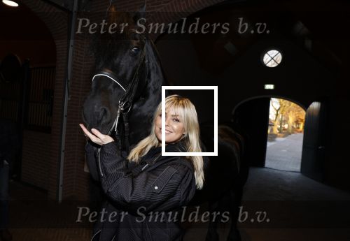 Lunteren 22 november 2021
Presentatie paarden calendar waarvan opbrengst naar het KWF gaat . Bridget Maasland en Samantha Steenwijk krijgen het eerste exemplaar . Ze kopen per paard aanrijden