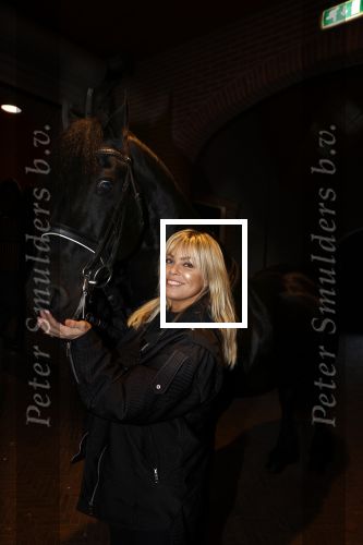 Lunteren 22 november 2021
Presentatie paarden calendar waarvan opbrengst naar het KWF gaat . Bridget Maasland en Samantha Steenwijk krijgen het eerste exemplaar . Ze kopen per paard aanrijden