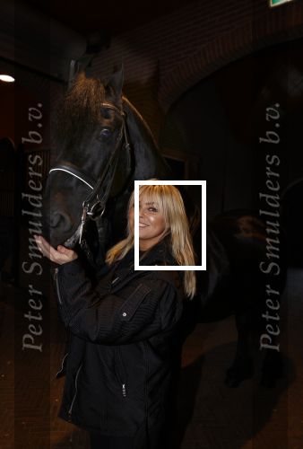Lunteren 22 november 2021
Presentatie paarden calendar waarvan opbrengst naar het KWF gaat . Bridget Maasland en Samantha Steenwijk krijgen het eerste exemplaar . Ze kopen per paard aanrijden