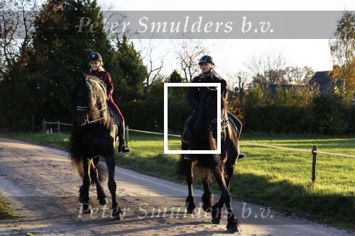 Lunteren 22 november 2021
Presentatie paarden calendar waarvan opbrengst naar het KWF gaat . Bridget Maasland en Samantha Steenwijk krijgen het eerste exemplaar . Ze kopen per paard aanrijden