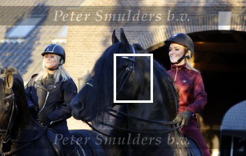 Lunteren 22 november 2021
Presentatie paarden calendar waarvan opbrengst naar het KWF gaat . Bridget Maasland en Samantha Steenwijk krijgen het eerste exemplaar . Ze kopen per paard aanrijden