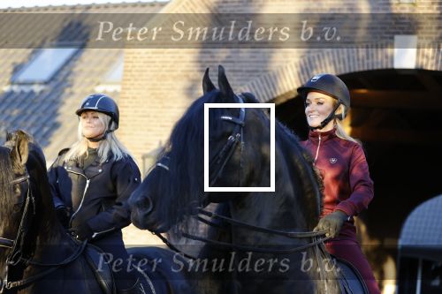 Lunteren 22 november 2021
Presentatie paarden calendar waarvan opbrengst naar het KWF gaat . Bridget Maasland en Samantha Steenwijk krijgen het eerste exemplaar . Ze kopen per paard aanrijden