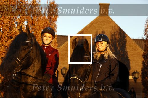 Lunteren 22 november 2021
Presentatie paarden calendar waarvan opbrengst naar het KWF gaat . Bridget Maasland en Samantha Steenwijk krijgen het eerste exemplaar . Ze kopen per paard aanrijden